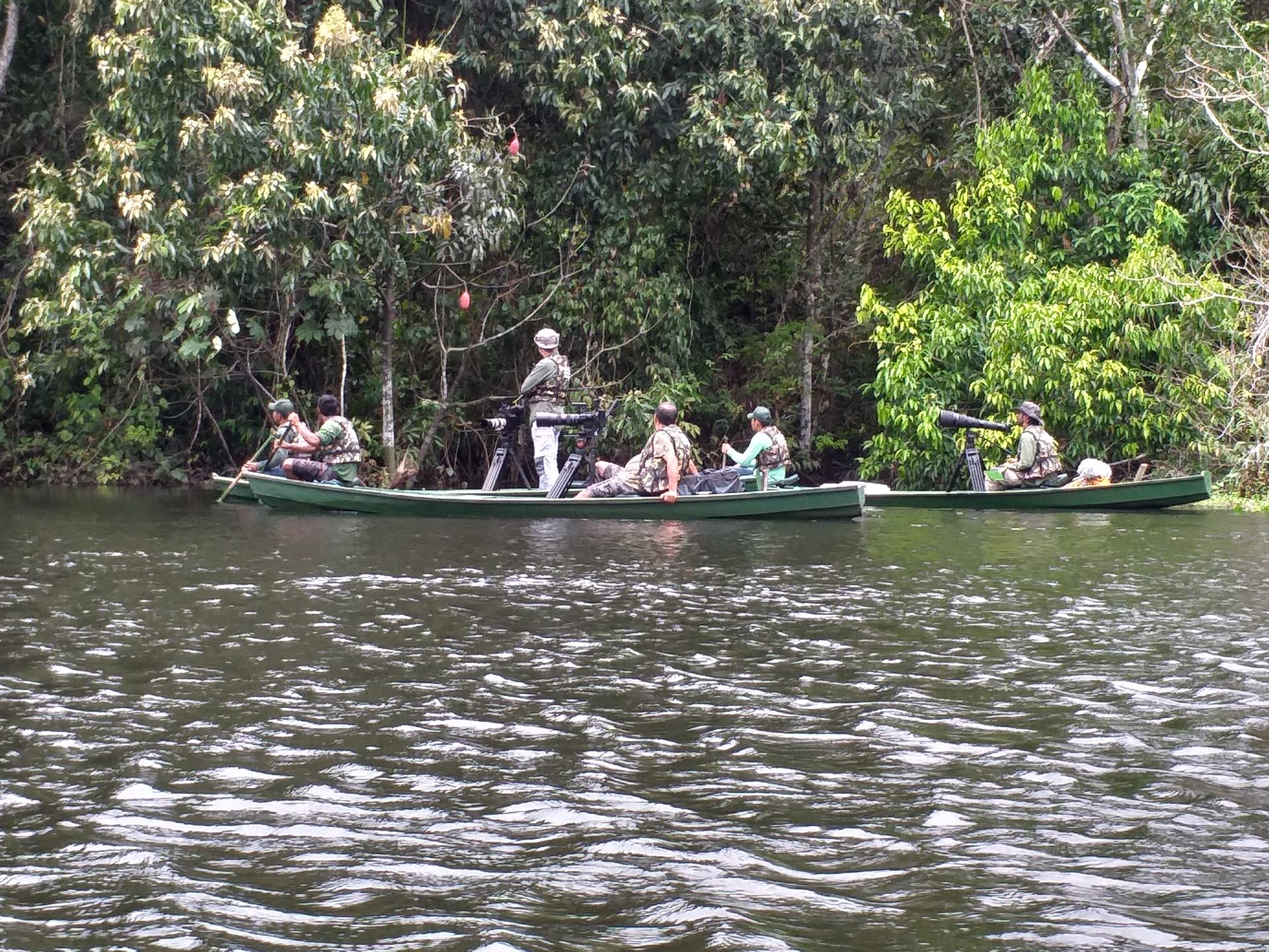 Birdwatching expedition on the river â€” two canoes with naturalists and telescopes