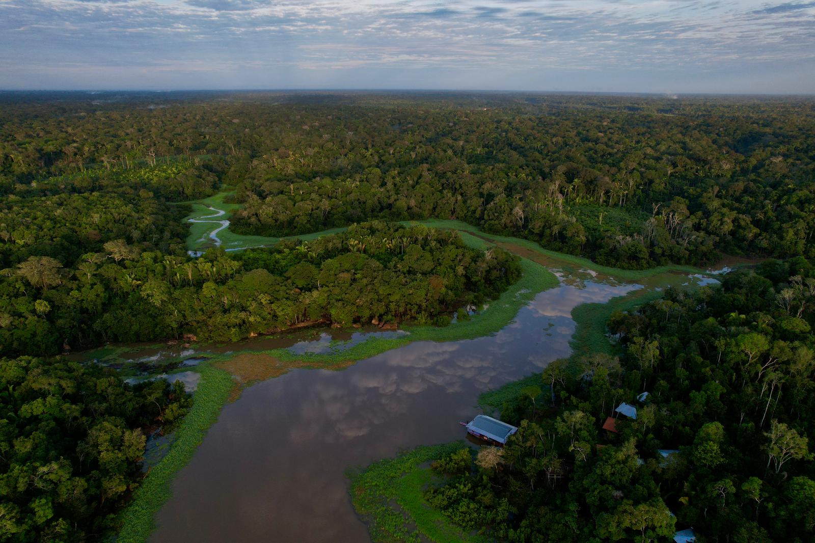 Amazon jungle lodge at the river's edge â€” boat access only