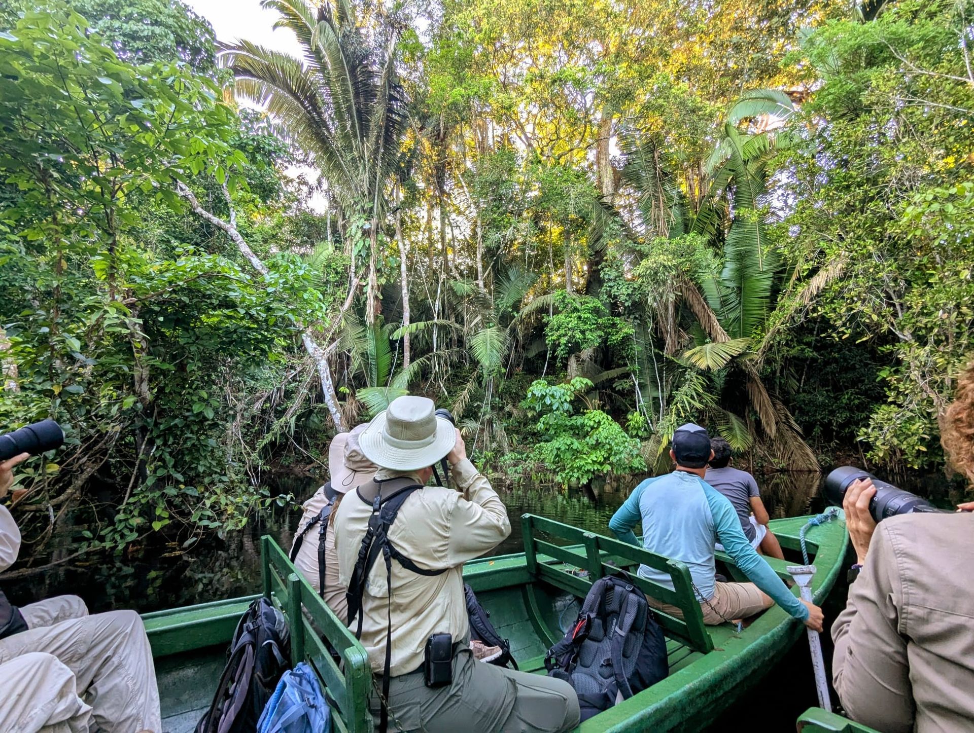 Guests in a wooden canoe navigating a narrow Amazon jungle creek with cameras raised