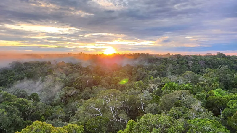 Amazon Expedition 6-day riverboat tour
