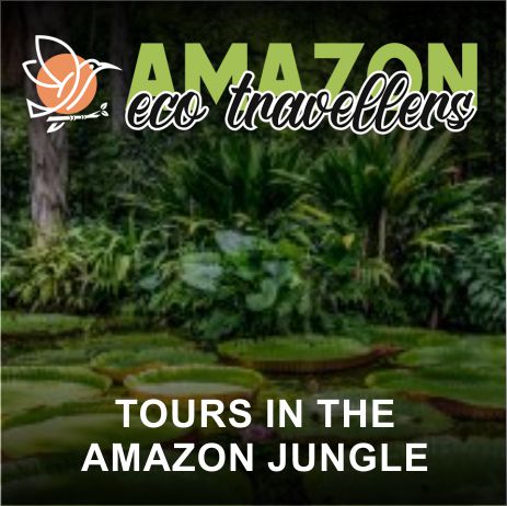 amazon eco travellers