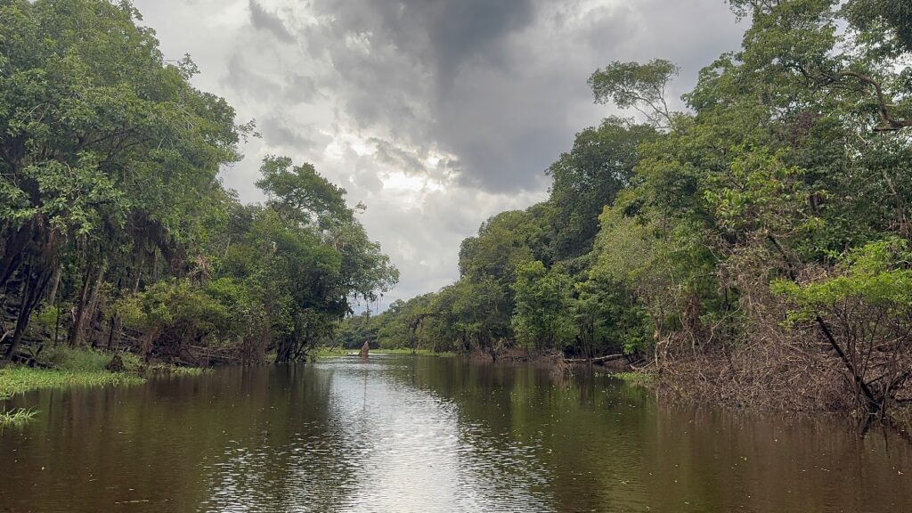 Photo of 1 Day – Ariau River & Rio Negro Amazon tour package
