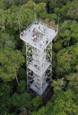 amazon-explorers-1