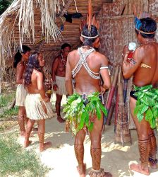 Amazon Indians