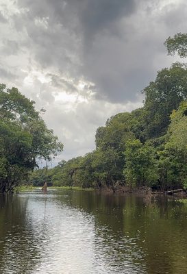 Narrow Amazon river channel surrounded by forest on the Ariau River and Rio Negro day tour
