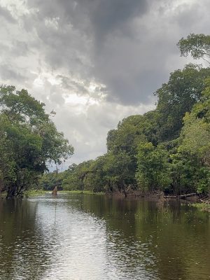 Narrow Amazon river channel surrounded by forest on the Ariau River and Rio Negro day tour