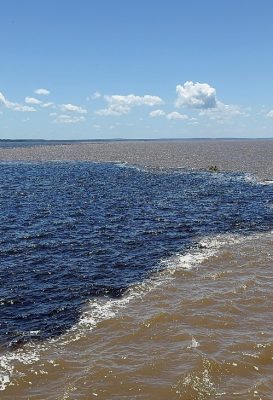The dark Rio Negro and sandy Solimoes River flowing side by side at the Meeting of the Waters