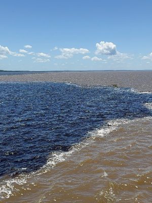 The dark Rio Negro and sandy Solimoes River flowing side by side at the Meeting of the Waters