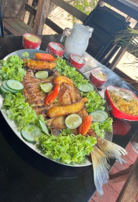 Regional Amazon lunch served during a one day river tour from Manaus