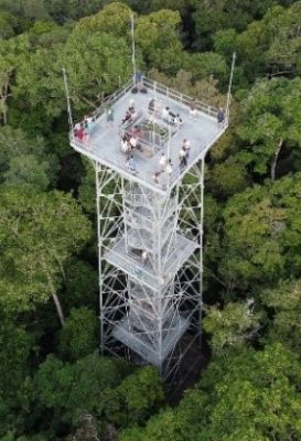 ecological-expedition-1