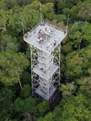 ecological-expedition-1