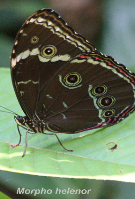 ecological-expedition-11