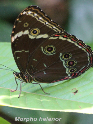 ecological-expedition-11