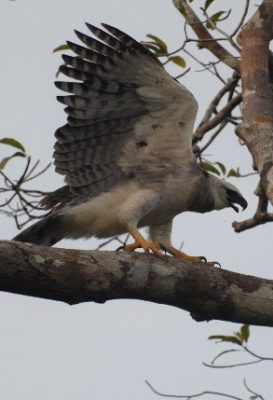 ecological-expedition-12