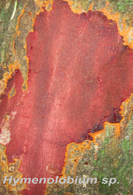 ecological-expedition-13