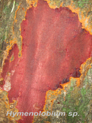 ecological-expedition-13