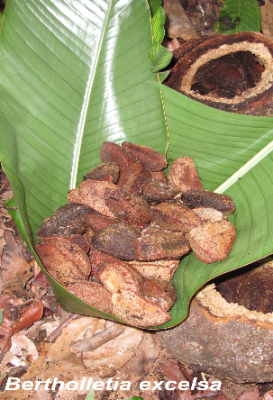 ecological-expedition-14