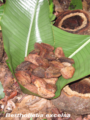 ecological-expedition-14