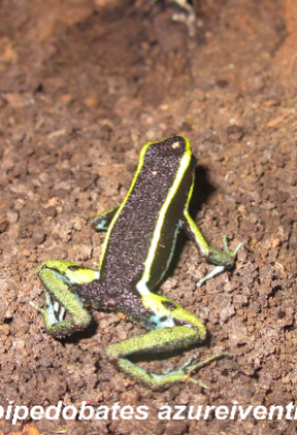 ecological-expedition-15