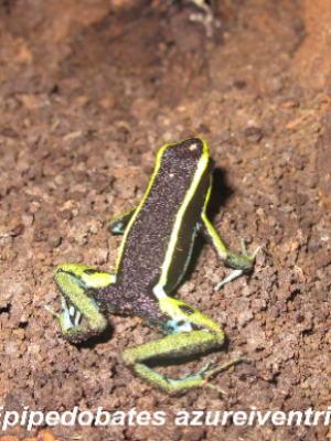 ecological-expedition-15