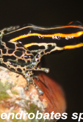 ecological-expedition-16