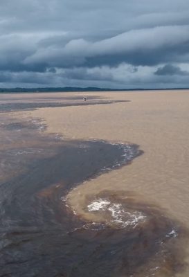 ecological-expedition-17