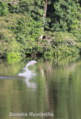 ecological-expedition-18