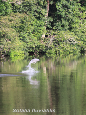 ecological-expedition-18