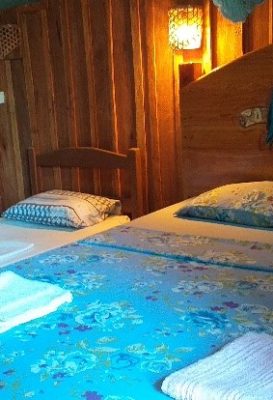 ecological-expedition-2