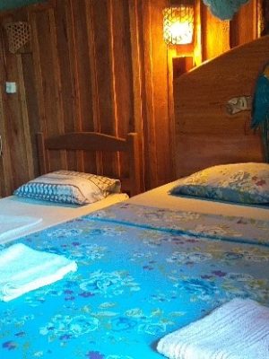 ecological-expedition-2