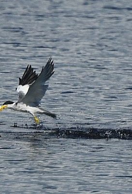 ecological-expedition-20