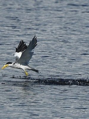 ecological-expedition-20