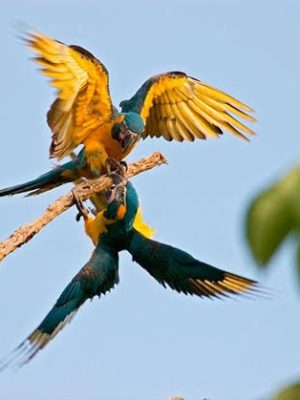 ecological-expedition-21