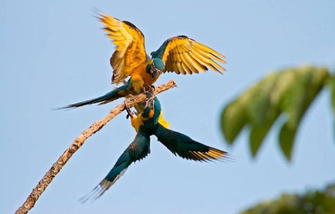 ecological-expedition-21