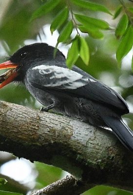 ecological-expedition-22