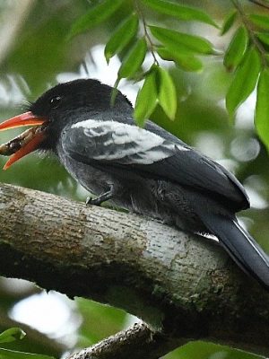 ecological-expedition-22