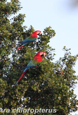 ecological-expedition-23