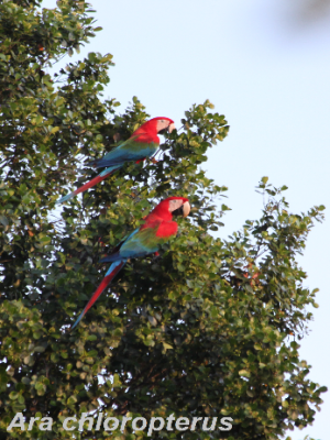 ecological-expedition-23