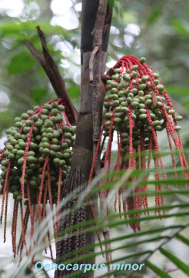 ecological-expedition-26