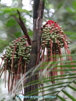 ecological-expedition-26