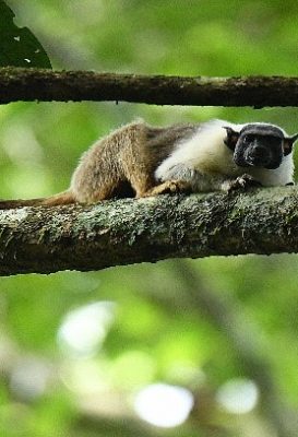 ecological-expedition-28