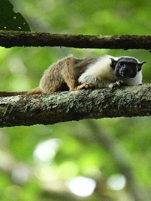 ecological-expedition-28