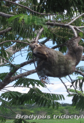 ecological-expedition-29