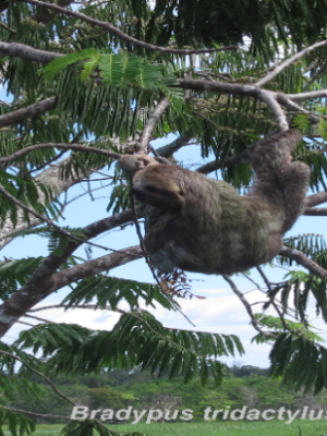 ecological-expedition-29