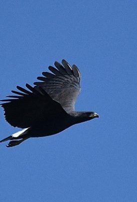 ecological-expedition-3