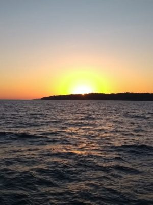 ecological-expedition-30