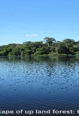 ecological-expedition-4