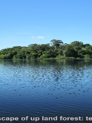 ecological-expedition-4