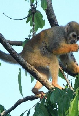 ecological-expedition-5