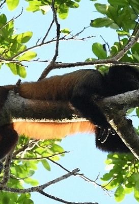 ecological-expedition-7